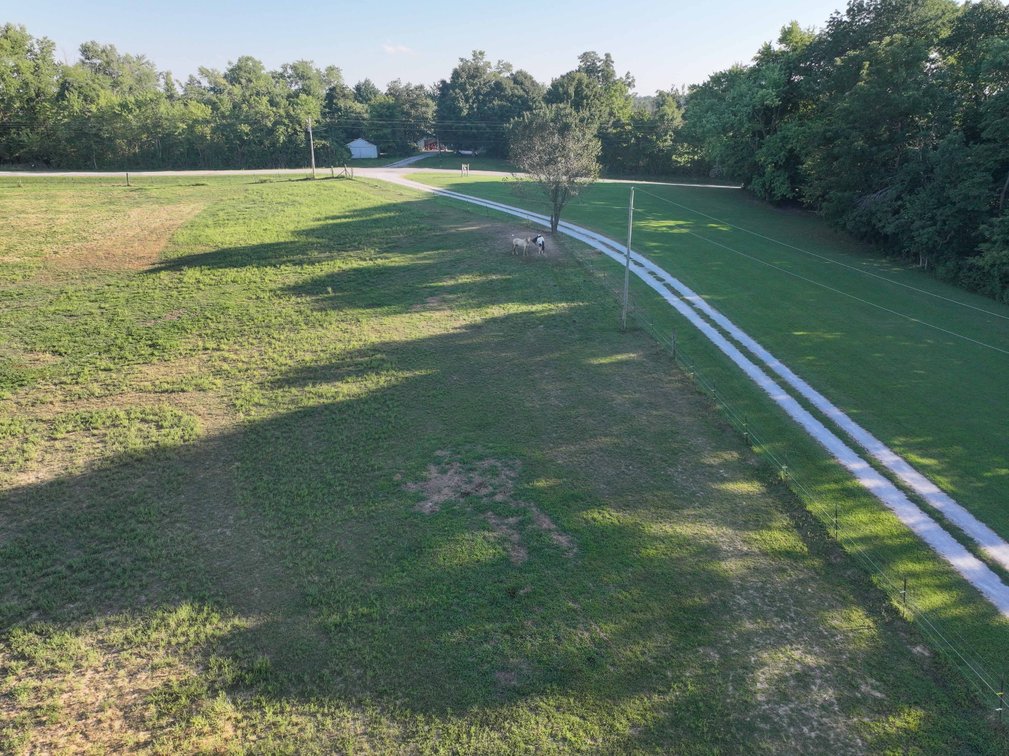 Image for 482 County Road 472, Oak Ridge, MO 63769, MLS #26056845