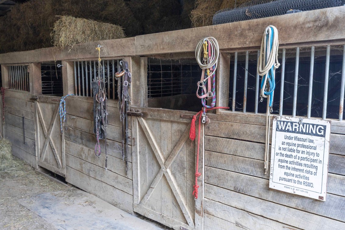 Image for 482 County Road 472, Oak Ridge, MO 63769, MLS #26056845