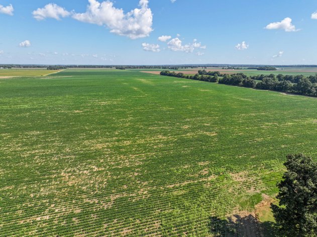 Image for Farm/House auction, 36996 State Highway 53, Campbell, MO 63933