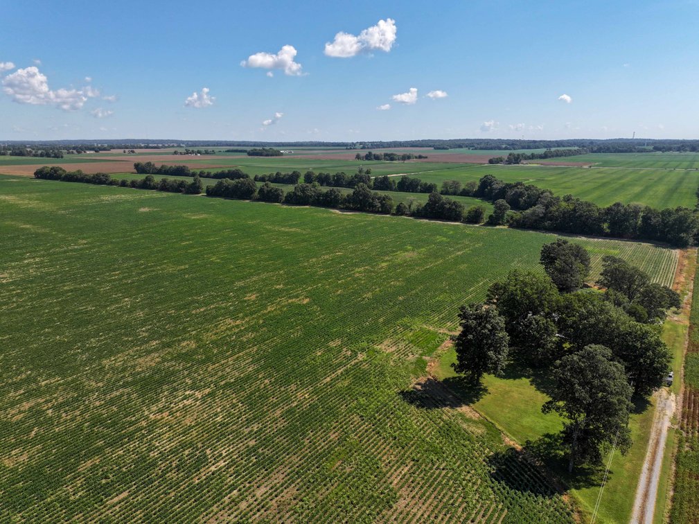 Image for Farm/House auction, 36996 State Highway 53, Campbell, MO 63933
