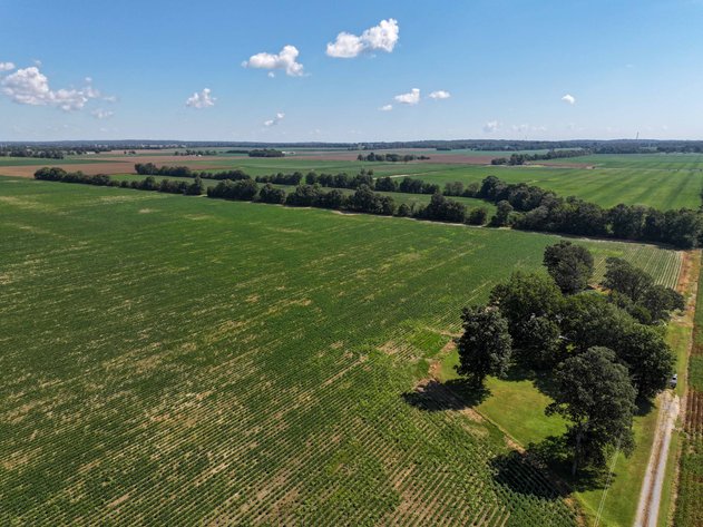 Image for Farm/House auction, 36996 State Highway 53, Campbell, MO 63933