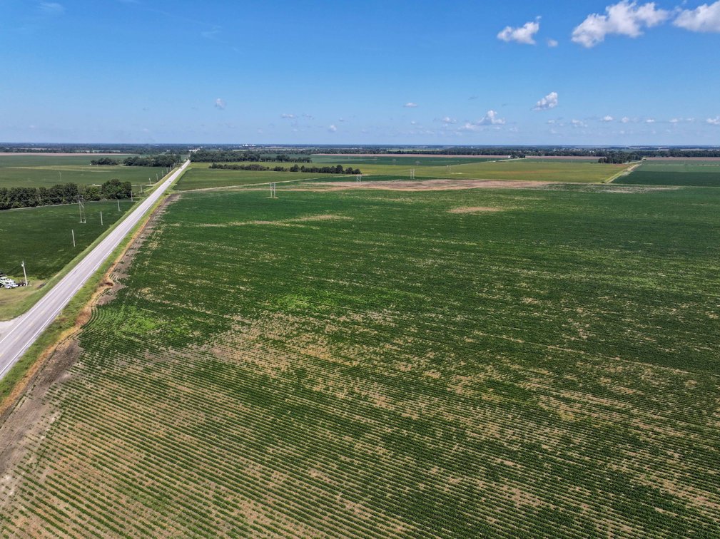 Image for Farm/House auction, 36996 State Highway 53, Campbell, MO 63933