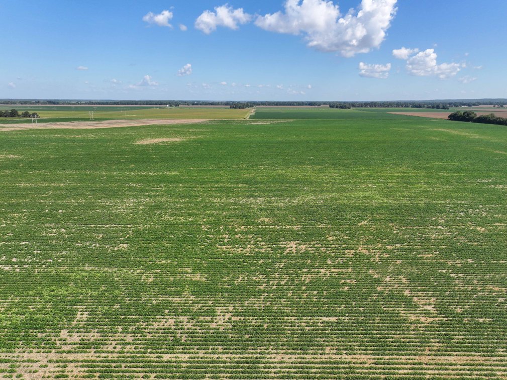 Image for Farm/House auction, 36996 State Highway 53, Campbell, MO 63933