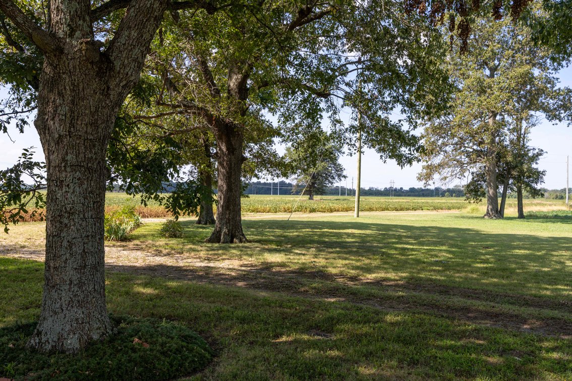 Image for Farm/House auction, 36996 State Highway 53, Campbell, MO 63933