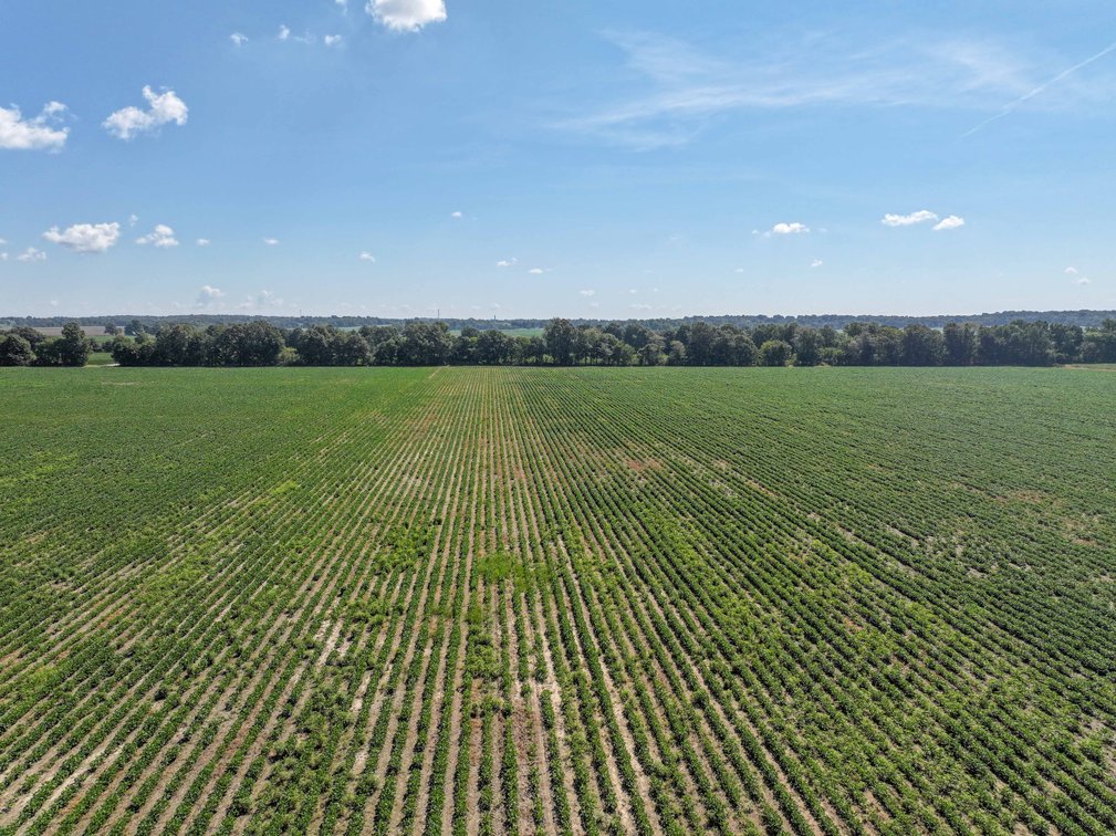 Image for Farm/House auction, 36996 State Highway 53, Campbell, MO 63933