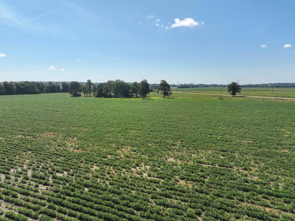 Image for Farm/House auction, 36996 State Highway 53, Campbell, MO 63933