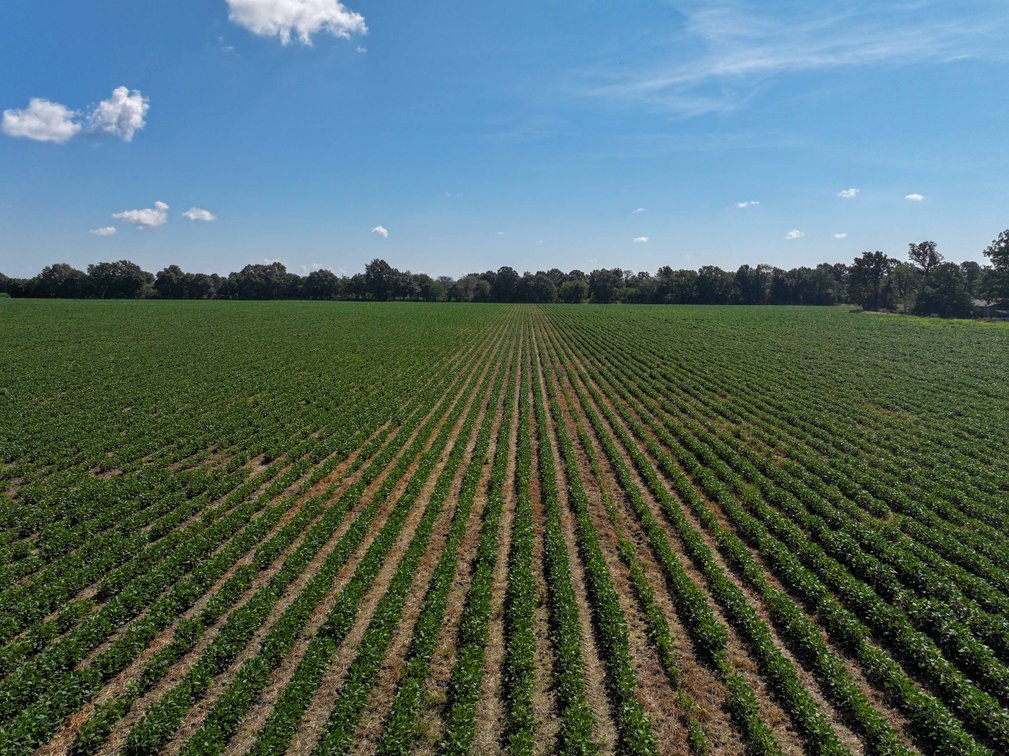 Image for Farm/House auction, 36996 State Highway 53, Campbell, MO 63933