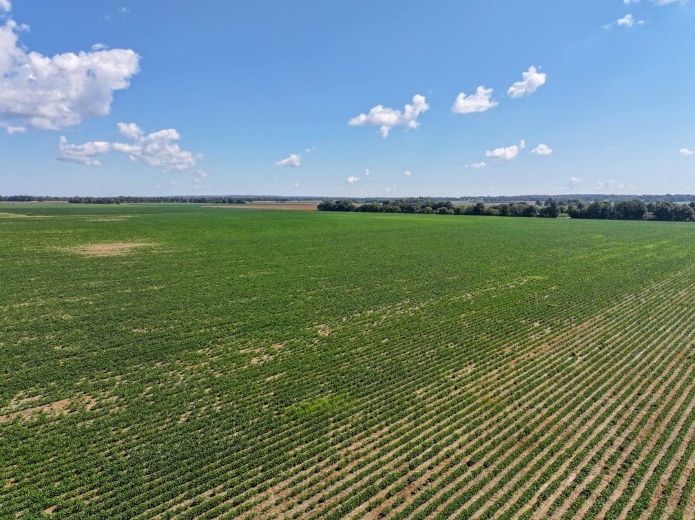 Image for Farm/House auction, 36996 State Highway 53, Campbell, MO 63933