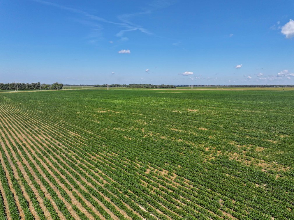 Image for Farm/House auction, 36996 State Highway 53, Campbell, MO 63933