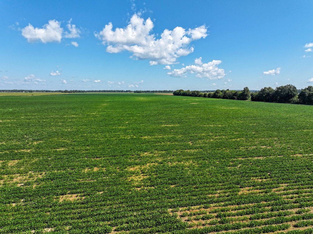 Image for Farm/House auction, 36996 State Highway 53, Campbell, MO 63933