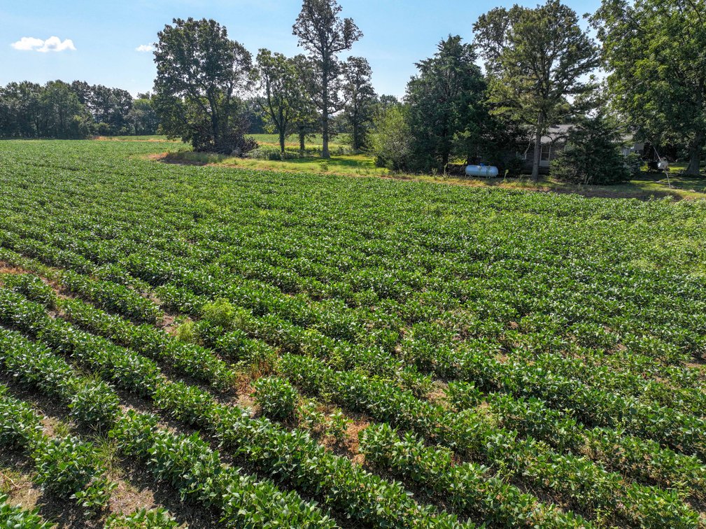 Image for Farm/House auction, 36996 State Highway 53, Campbell, MO 63933