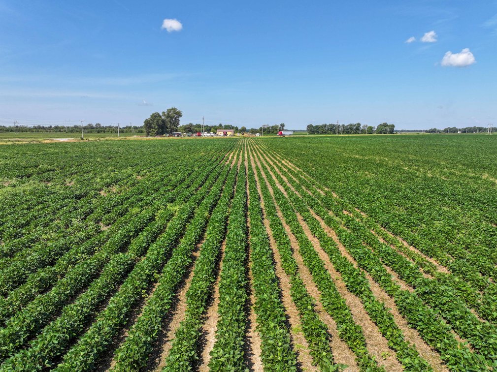 Image for Farm/House auction, 36996 State Highway 53, Campbell, MO 63933