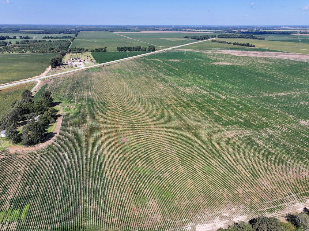 Image for Farm/House auction, 36996 State Highway 53, Campbell, MO 63933