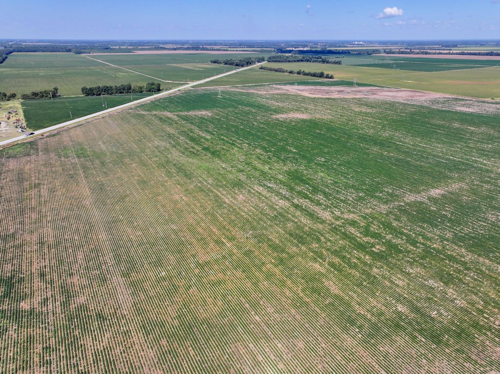 Image for Farm/House auction, 36996 State Highway 53, Campbell, MO 63933
