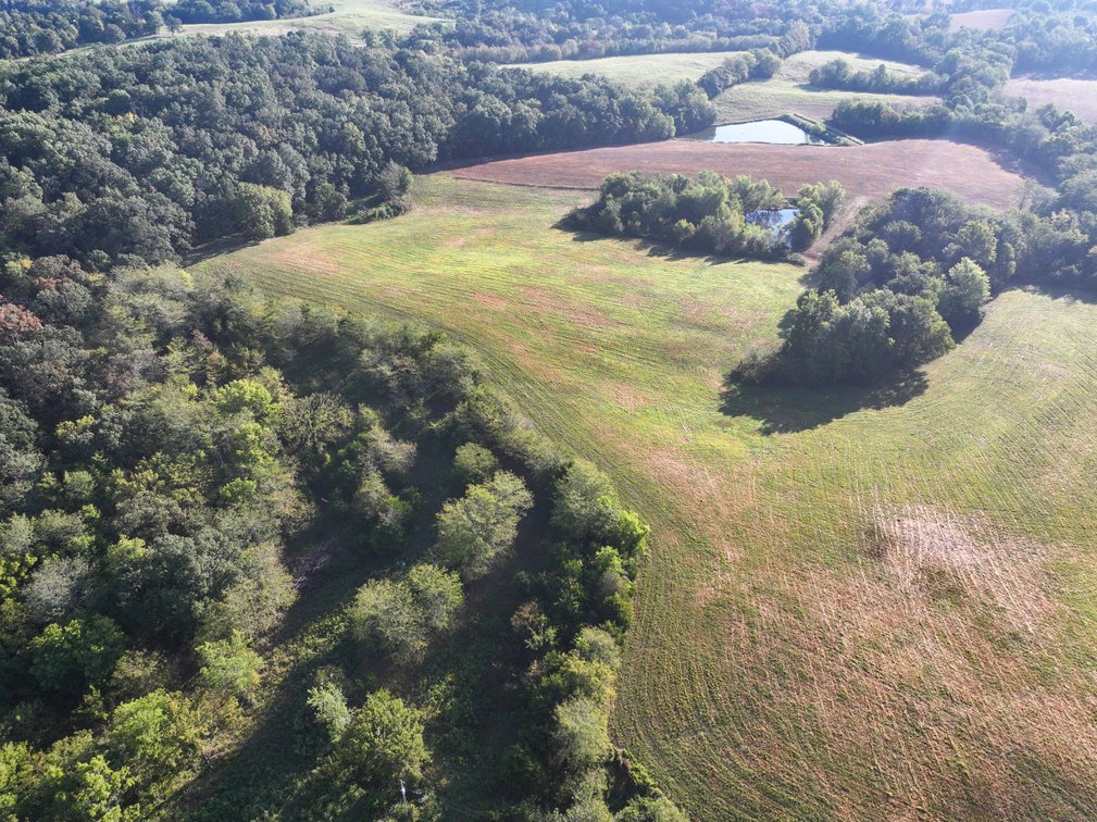Image for 304 County Road 506, Oak Ridge, MO 63769, MLS #26059424