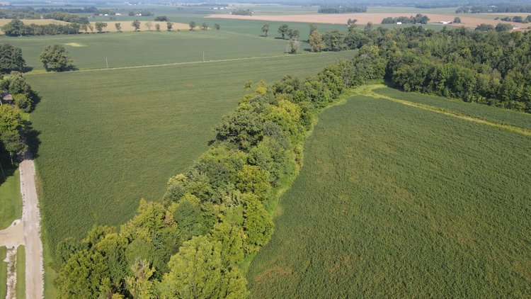 Image for 37.52 Ac +/-, County Road 259, Advance, MO 63730, MLS #26060407
