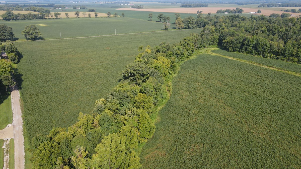 Image for 37.52 Ac +/-, County Road 259, Advance, MO 63730, MLS #26060407