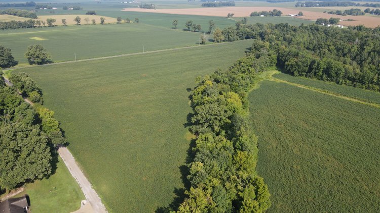 Image for 37.52 Ac +/-, County Road 259, Advance, MO 63730, MLS #26060407