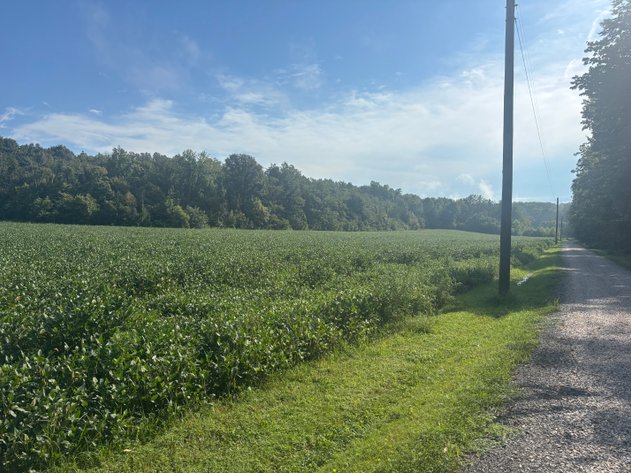 Image for 37.52 Ac +/-, County Road 259, Advance, MO 63730, MLS #26060407