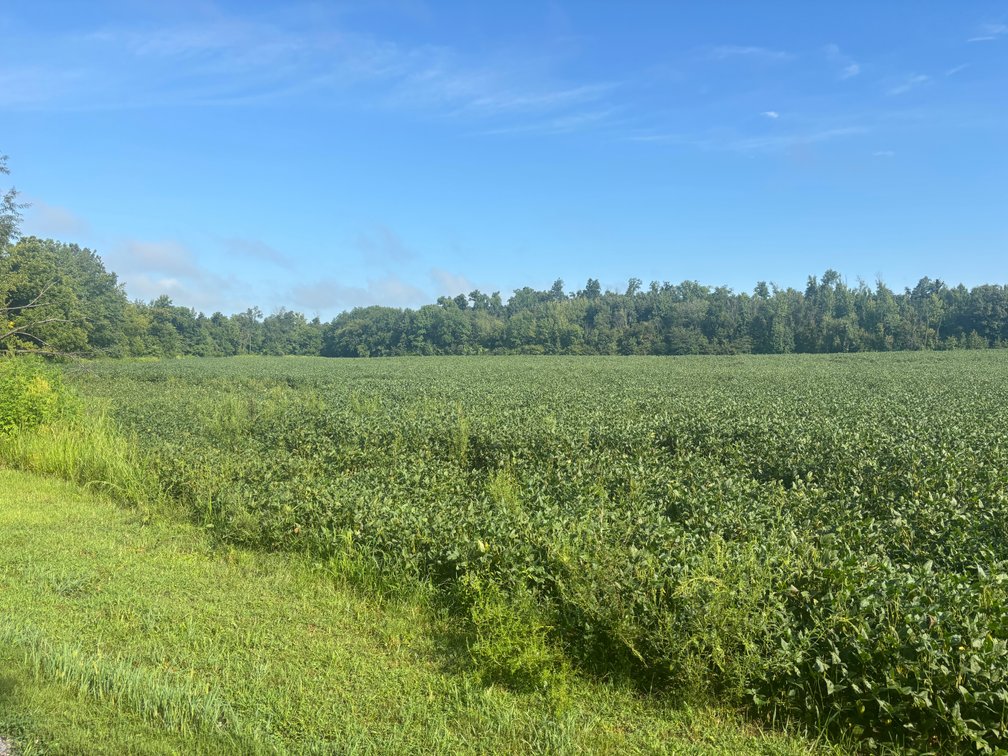 Image for 37.52 Ac +/-, County Road 259, Advance, MO 63730, MLS #26060407