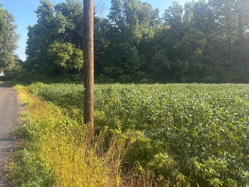 Image for 37.52 Ac +/-, County Road 259, Advance, MO 63730, MLS #26060407