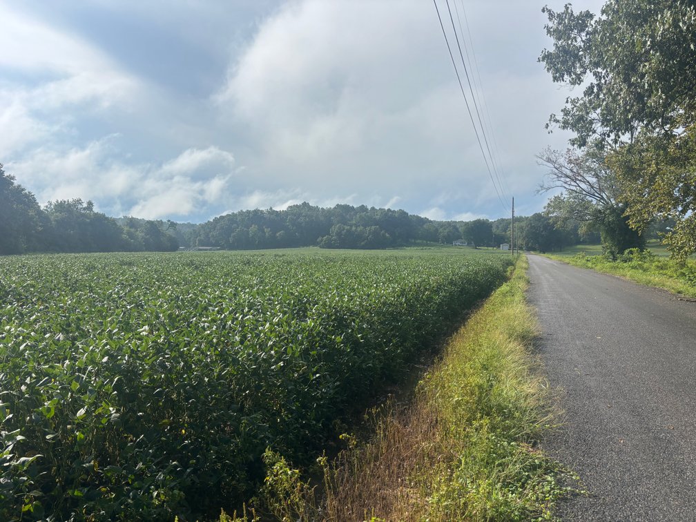 Image for 37.52 Ac +/-, County Road 259, Advance, MO 63730, MLS #26060407