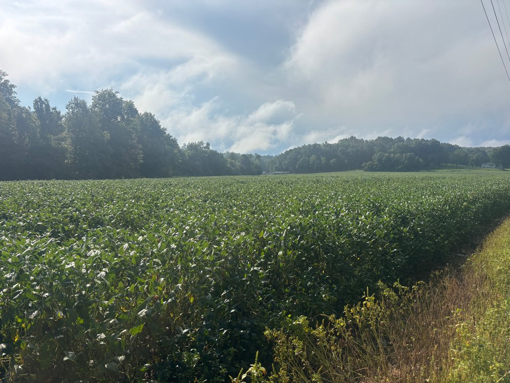 Image for 37.52 Ac +/-, County Road 259, Advance, MO 63730, MLS #26060407