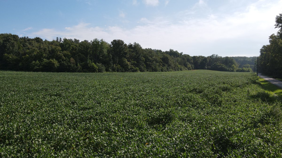 Image for 37.52 Ac +/-, County Road 259, Advance, MO 63730, MLS #26060407