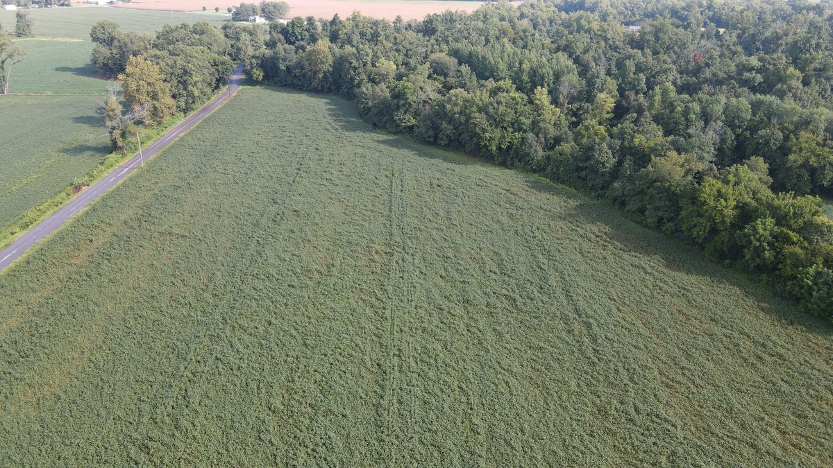 Image for 37.52 Ac +/-, County Road 259, Advance, MO 63730, MLS #26060407
