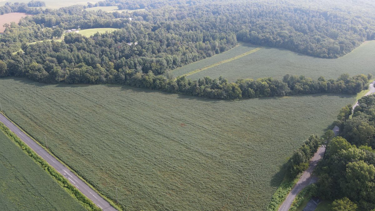 Image for 37.52 Ac +/-, County Road 259, Advance, MO 63730, MLS #26060407