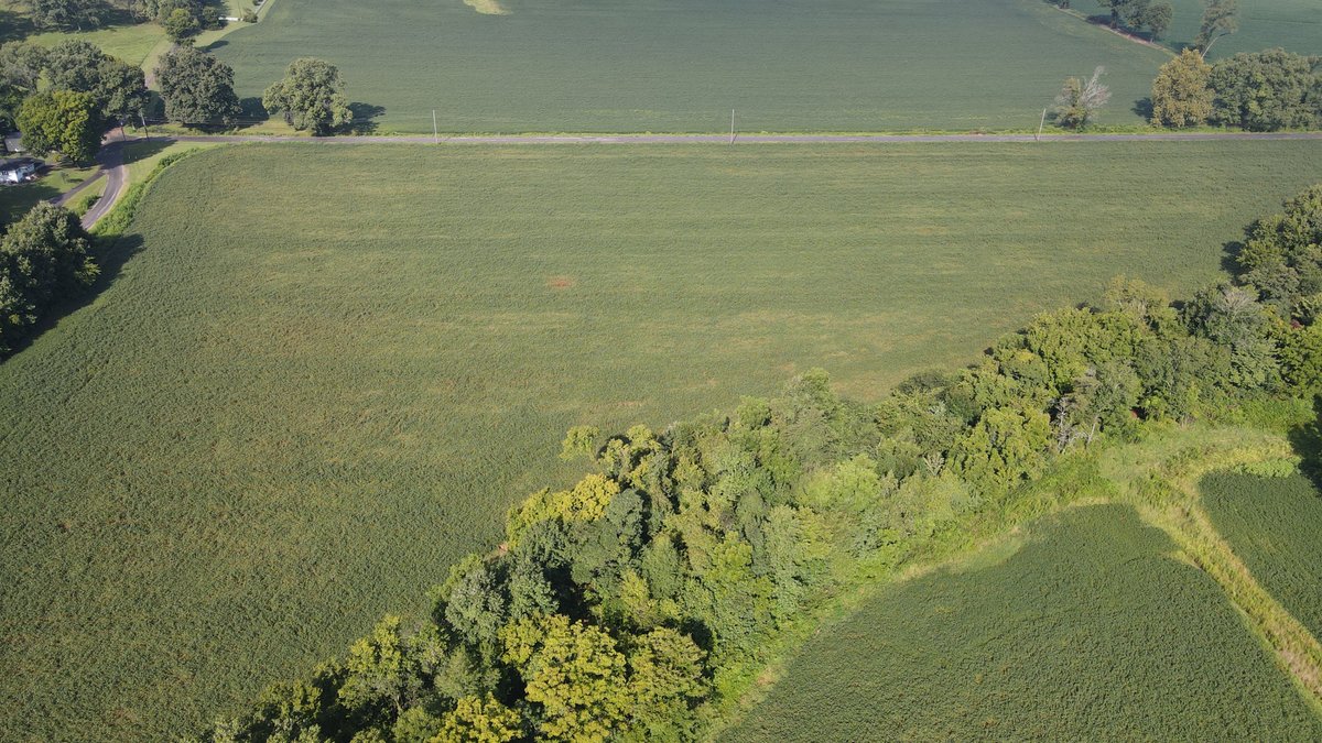Image for 37.52 Ac +/-, County Road 259, Advance, MO 63730, MLS #26060407