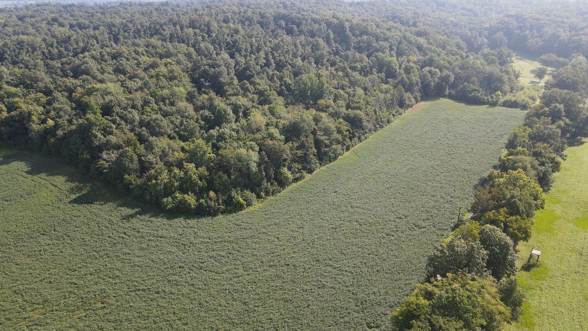 Image for 37.52 Ac +/-, County Road 259, Advance, MO 63730, MLS #26060407