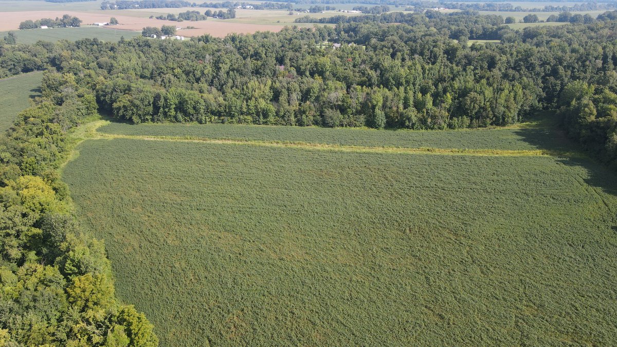 Image for 37.52 Ac +/-, County Road 259, Advance, MO 63730, MLS #26060407