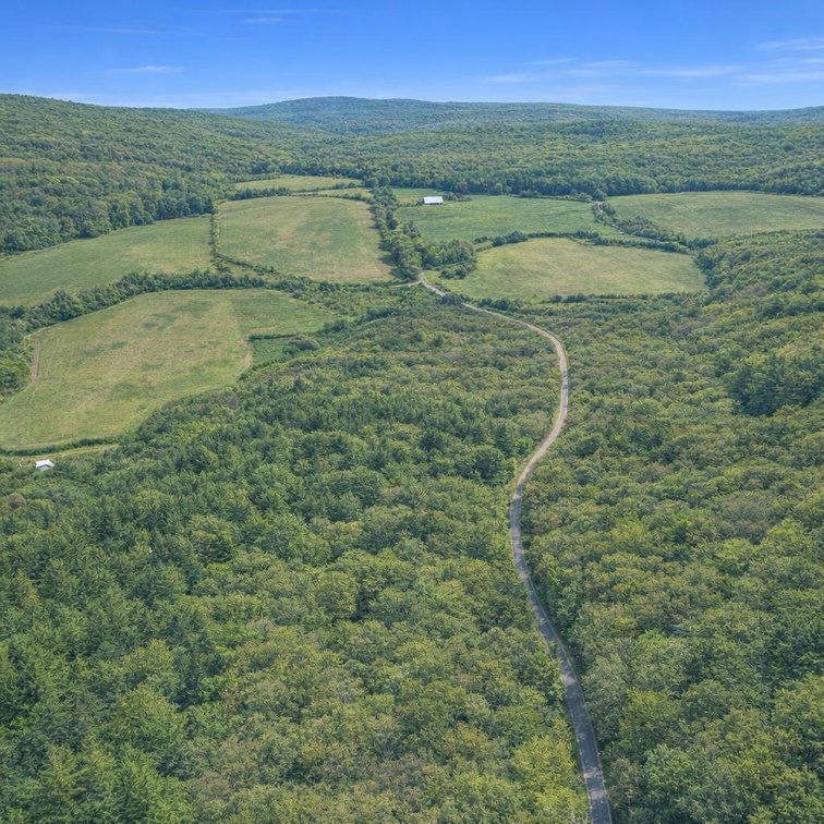 Image for 5.0 +/- Ac, off CR 124, Annapolis, MO 63620, MLS #26059356