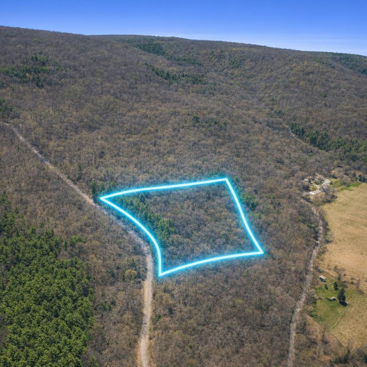 Image for 5.0 +/- Ac, off CR 124, Annapolis, MO 63620, MLS #26059356