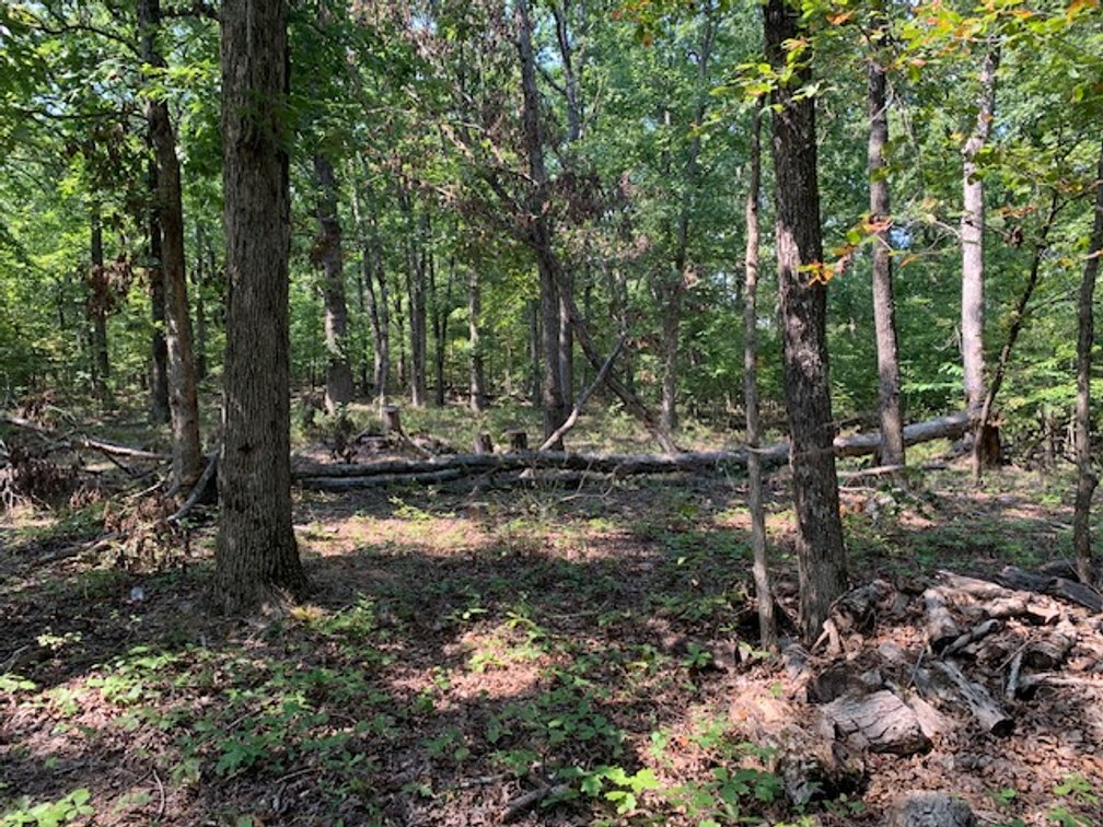 Image for 5.0 +/- Ac, off CR 124, Annapolis, MO 63620, MLS #26059356