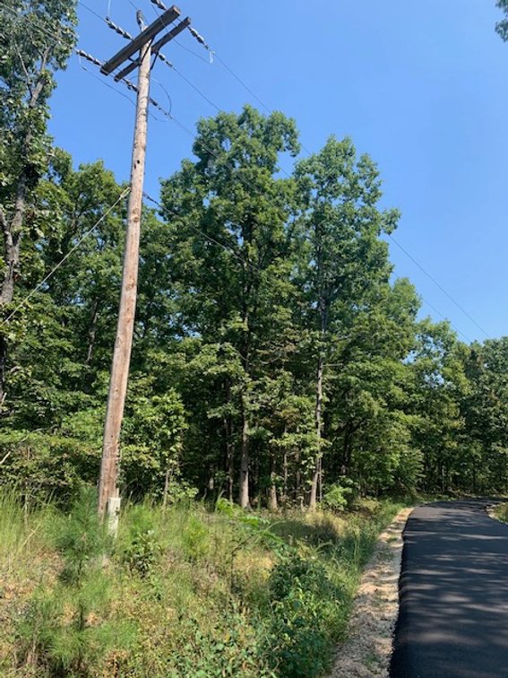 Image for 5.0 +/- Ac, off CR 124, Annapolis, MO 63620, MLS #26059356