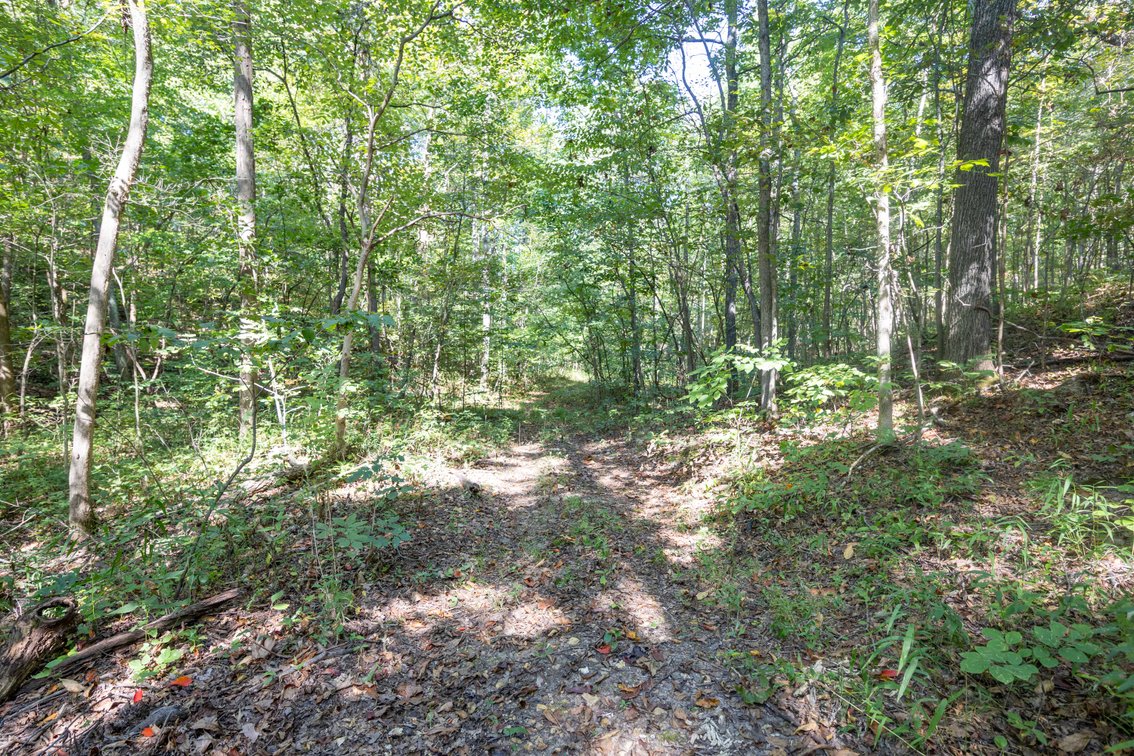 Image for 25.62 +/- Ac, off County Road 535, Jackson, MO 63755, MLS #26060044
