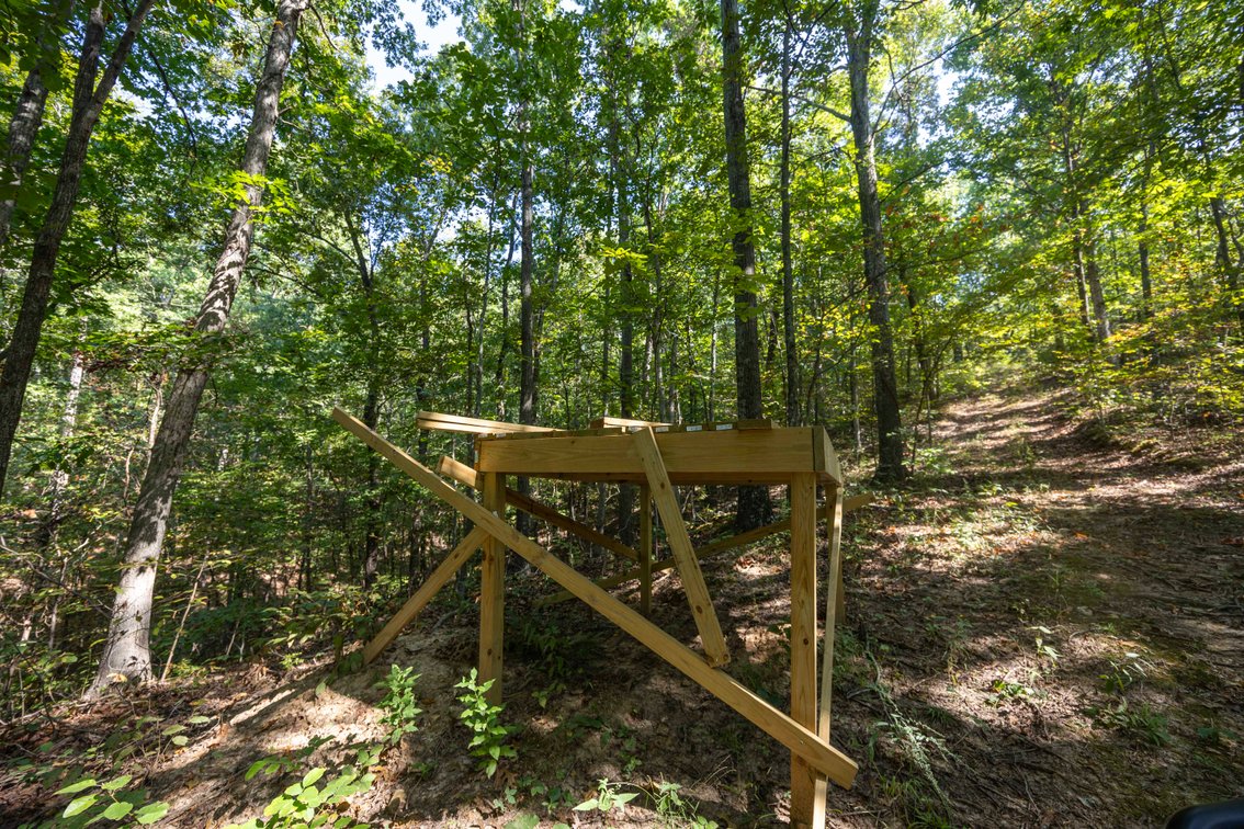 Image for 25.62 +/- Ac, off County Road 535, Jackson, MO 63755, MLS #26060044