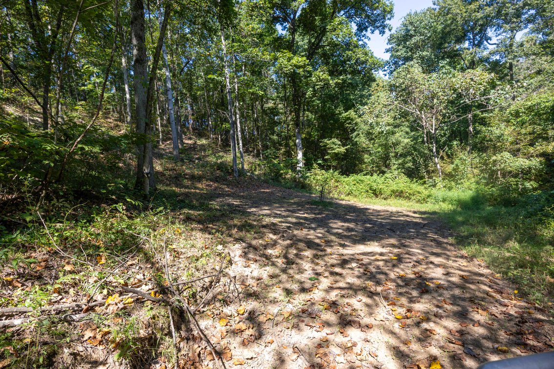 Image for 25.62 +/- Ac, off County Road 535, Jackson, MO 63755, MLS #26060044