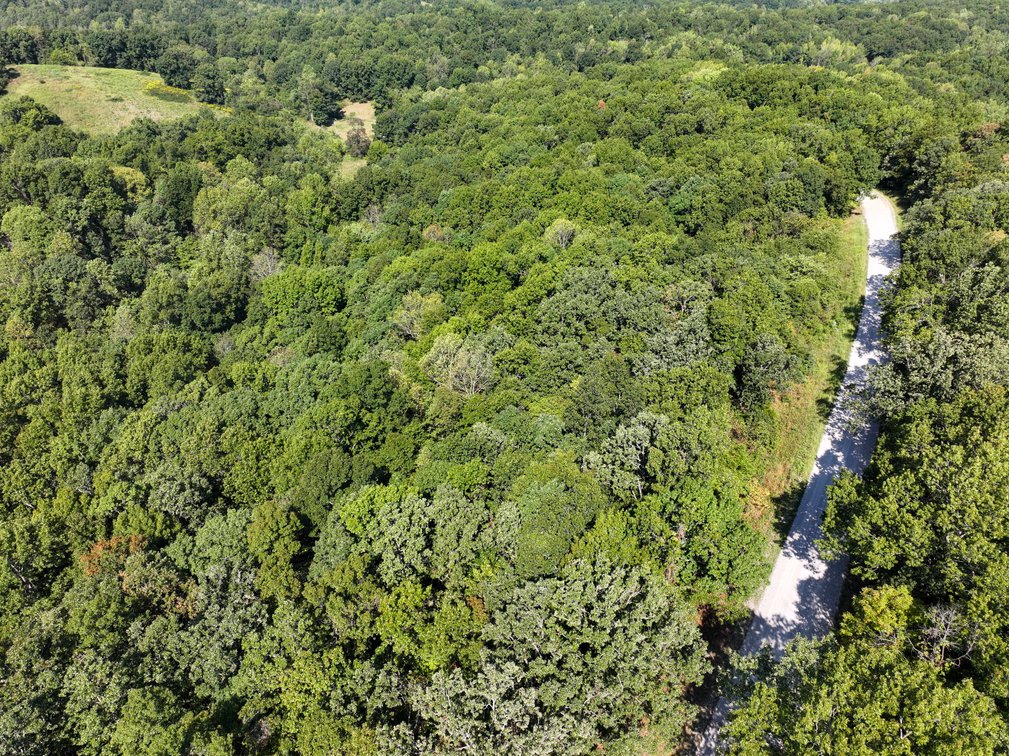 Image for 25.62 +/- Ac, off County Road 535, Jackson, MO 63755, MLS #26060044