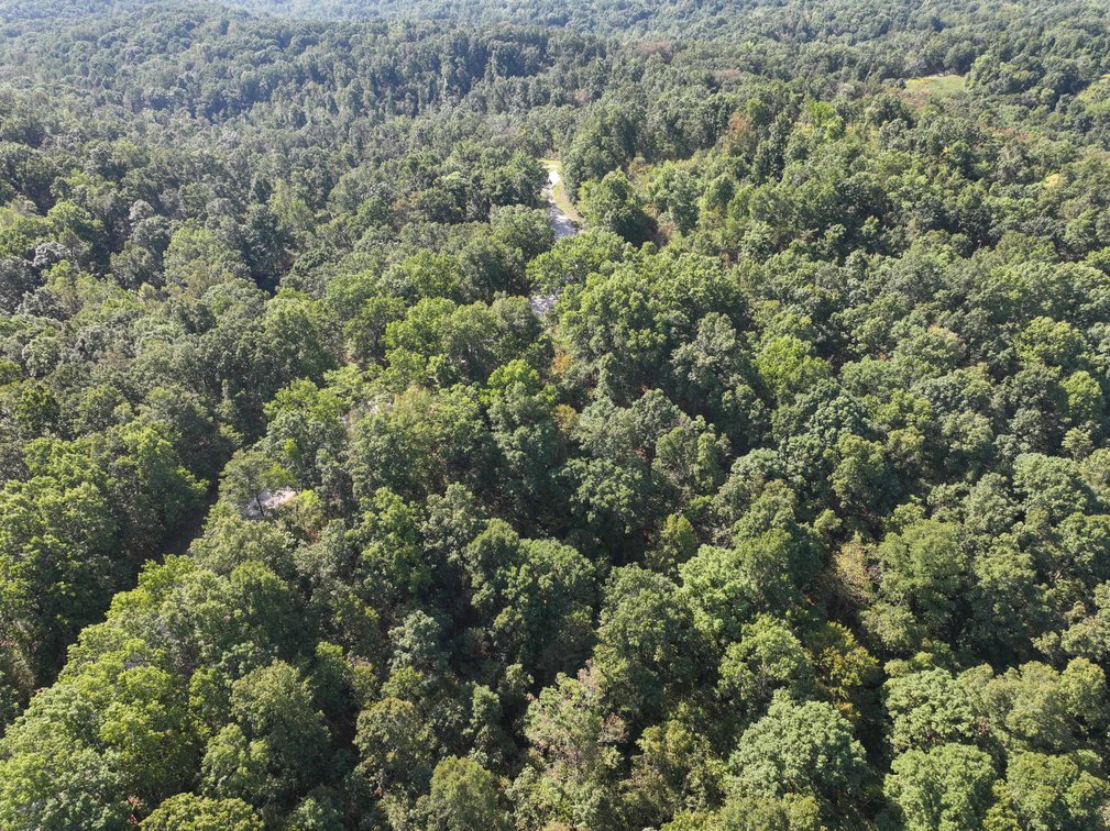 Image for 25.62 +/- Ac, off County Road 535, Jackson, MO 63755, MLS #26060044
