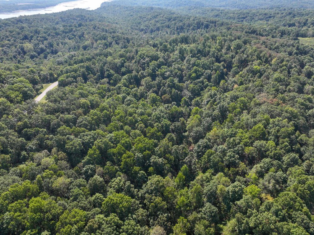 Image for 25.62 +/- Ac, off County Road 535, Jackson, MO 63755, MLS #26060044