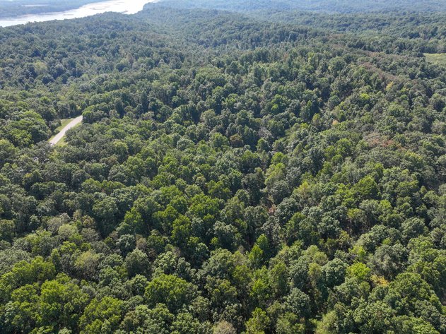 Image for 25.62 +/- Ac, off County Road 535, Jackson, MO 63755, MLS #26060044