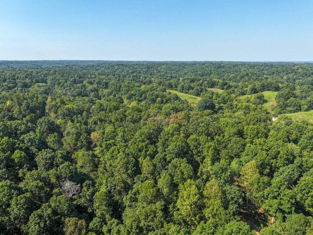 Image for 25.62 +/- Ac, off County Road 535, Jackson, MO 63755, MLS #26060044
