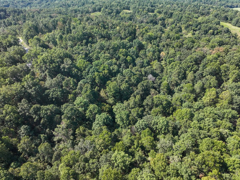 Image for 25.62 +/- Ac, off County Road 535, Jackson, MO 63755, MLS #26060044