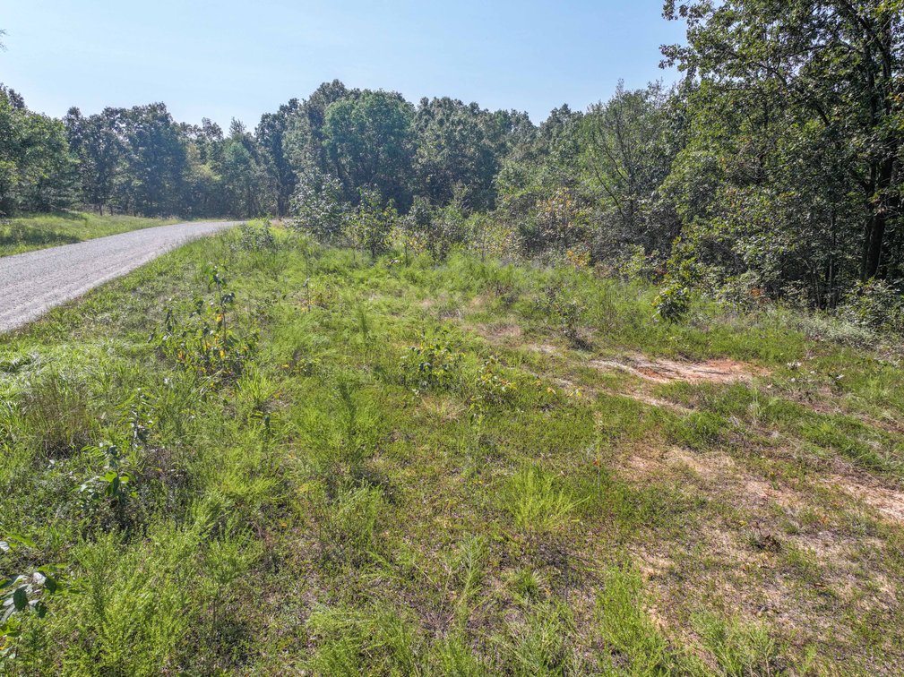 Image for 25.62 +/- Ac, off County Road 535, Jackson, MO 63755, MLS #26060044