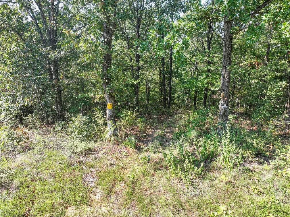 Image for 25.62 +/- Ac, off County Road 535, Jackson, MO 63755, MLS #26060044