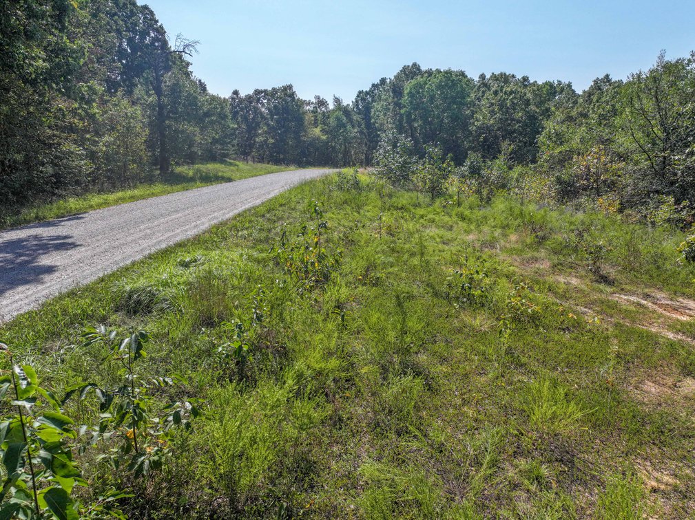 Image for 25.62 +/- Ac, off County Road 535, Jackson, MO 63755, MLS #26060044