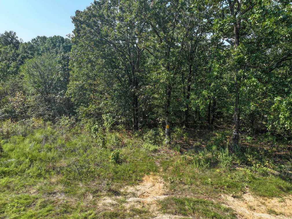 Image for 25.62 +/- Ac, off County Road 535, Jackson, MO 63755, MLS #26060044